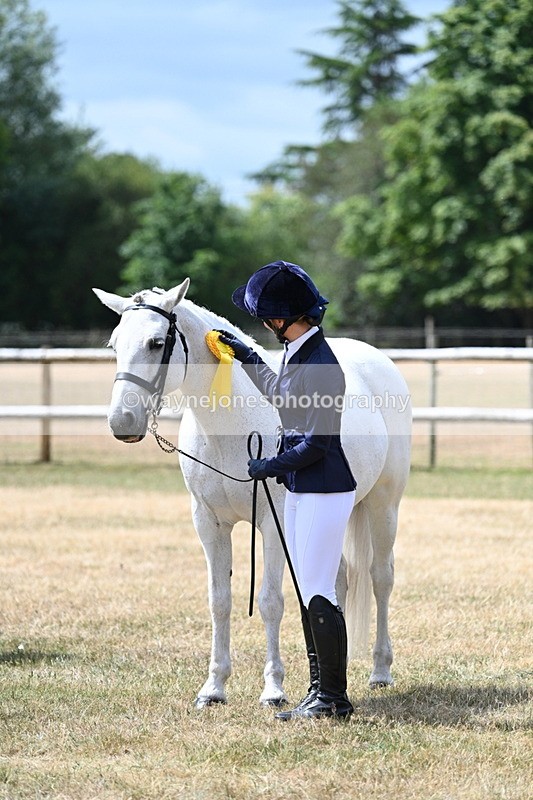 WJ7_1745 - Class 4 Prettiest Mare up to 14.2hh in hand