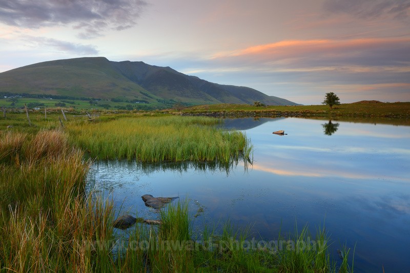 Tewit Tarn near Keswick          Ref 7993 - The Pennines and Cumbria