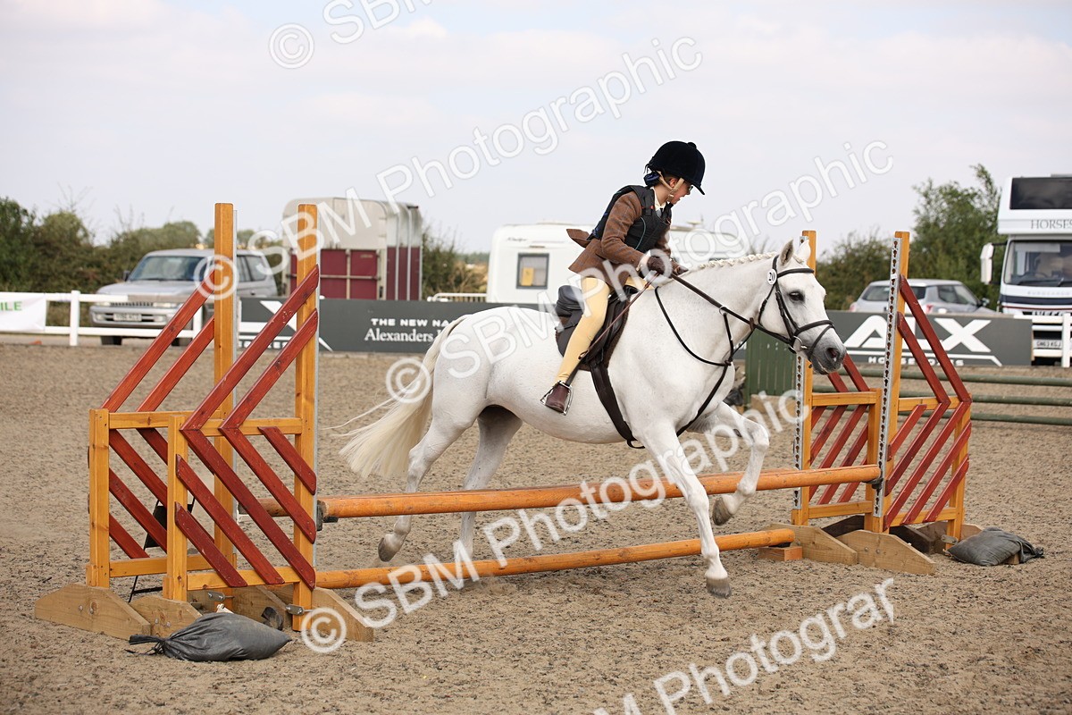 SBM_14258 - Class 407b - Working Veteran 60cm (20+)