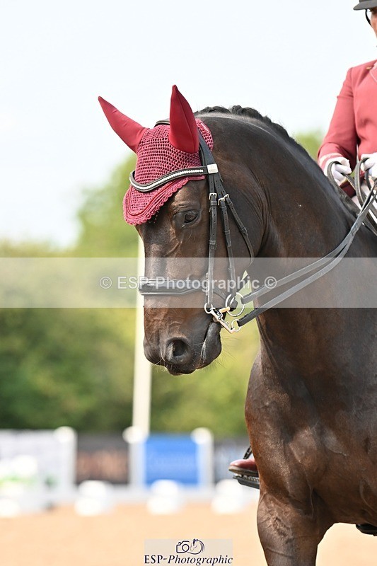 250816-151820-05823 - 035-Jane.LittlejohnNot.just.anyone