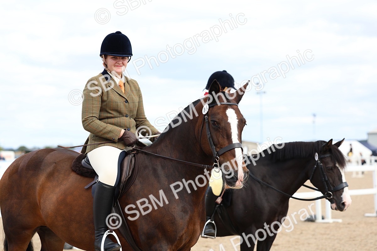 SBM_15833 - Class 314 - Family Horse - Pony