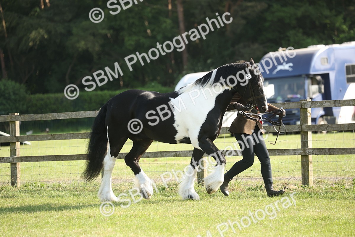 SBM_10401 - Class 33-38 - SSADL RIHS Qualifiers