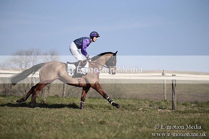 PtP 240218 226 - Vine & Craven Hunt Point-to-Point Barbury racecourse 24/02/18