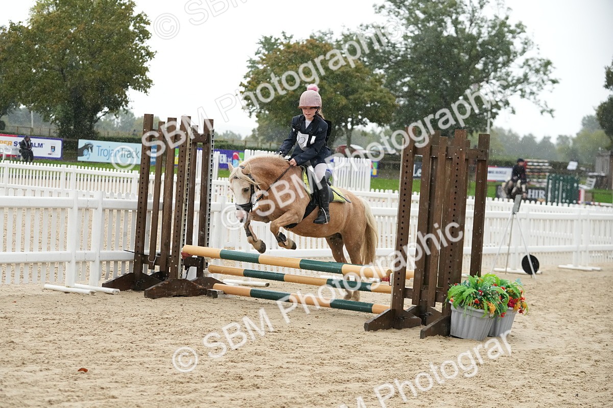 SBM_33866 - J5 - Junior Pony 50cm Championship