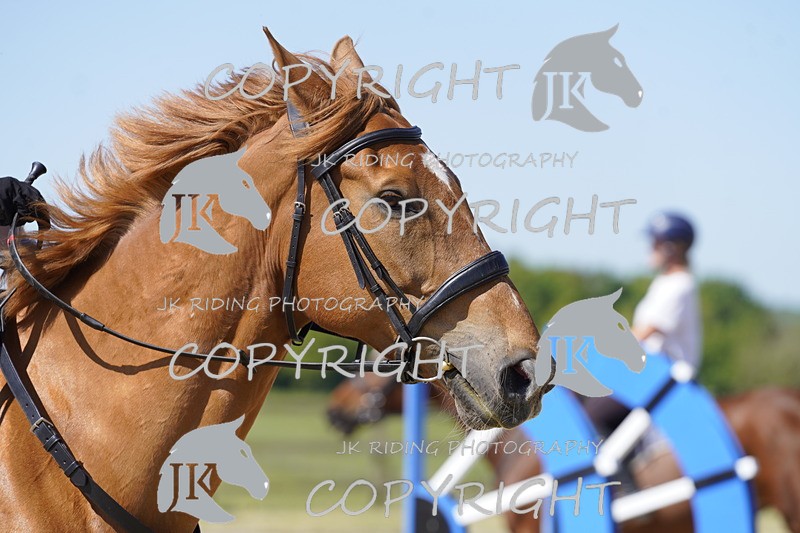 _DSC0862 - 80cm