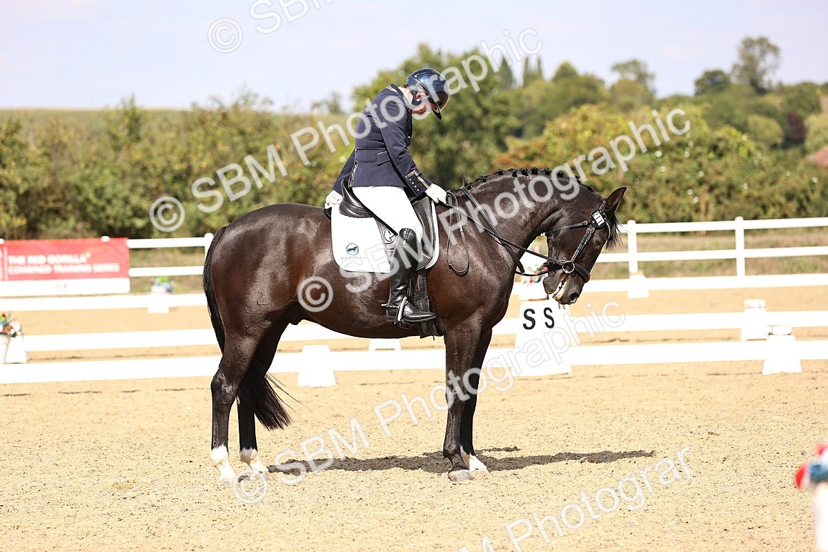 SBM_015052 - Class 6 - Elementary 5