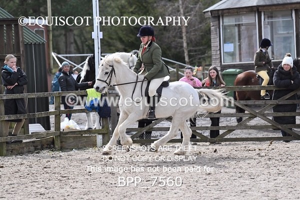 BPP_7560 - RING 1  (RIDDEN HORSES / IN HAND / VETERAN ETC)