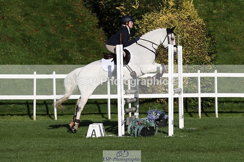 231022-093047-23935 - 659-MACS.BOY-Daisy.Fulton-TrotUp+SJ