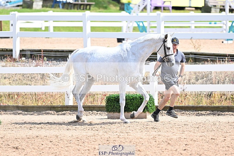 240717A-155023-03087 - Trot Up 3pm to 4pm