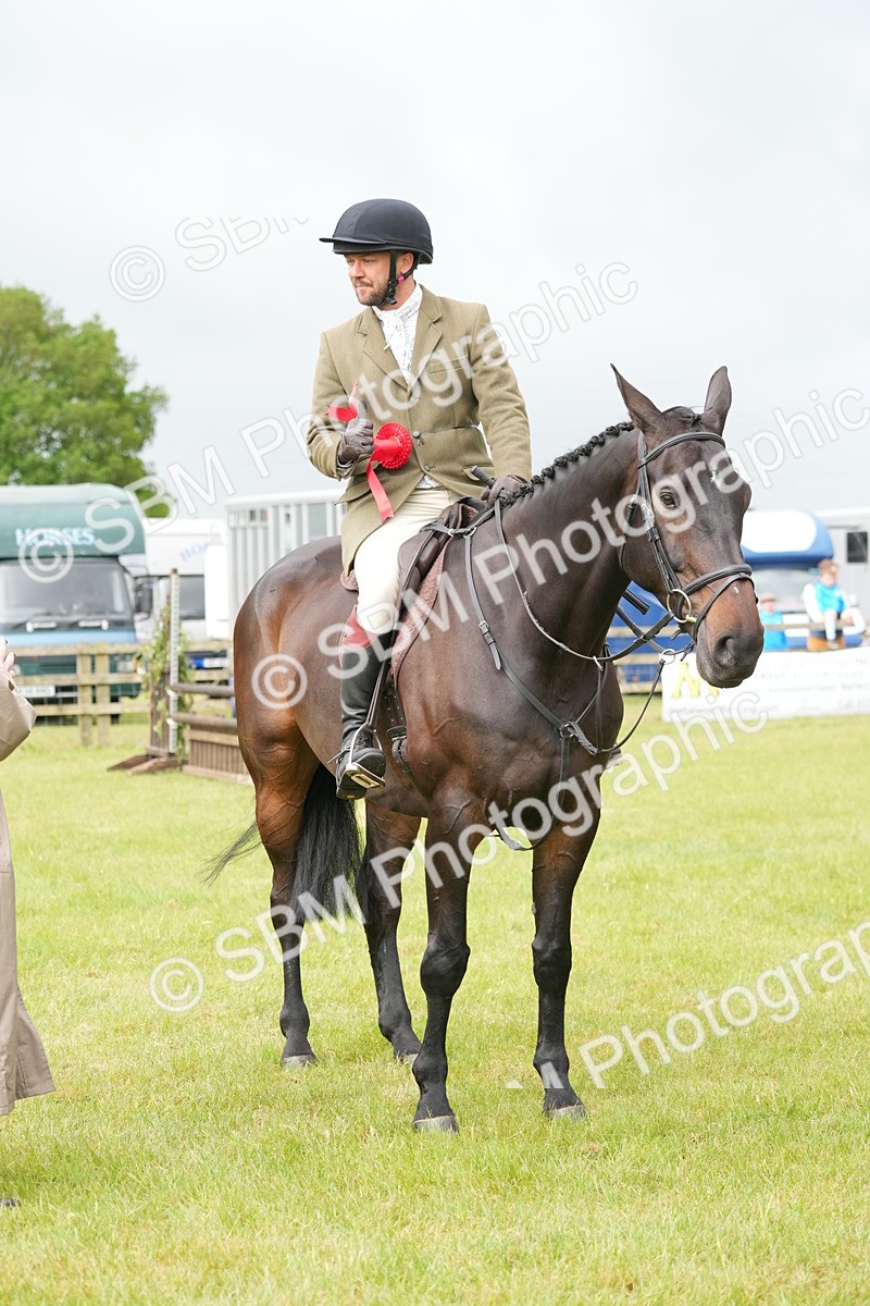 SBM_12794 - Class 97-98 - LIHS BSHA Rising Star Working Show Horse Hunter