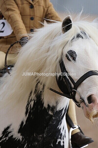 SIAL0956 - Indoor Classes