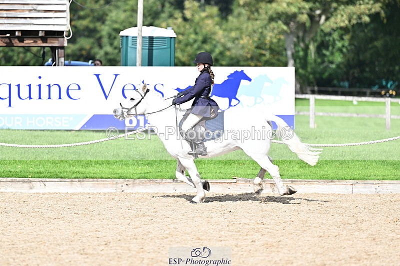 251005A-140201-04251 - Cls 09 Nov 80-85cm