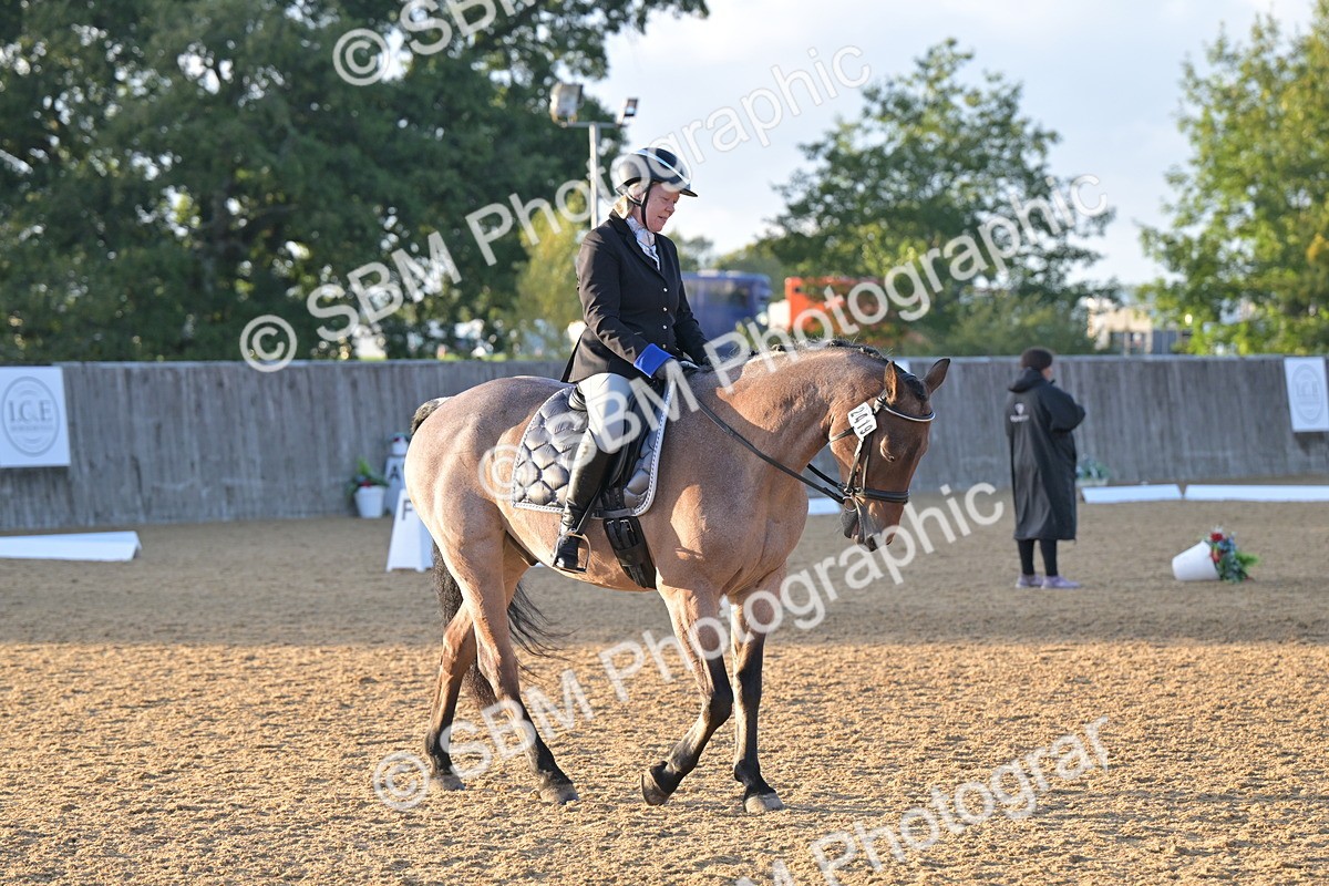 SBM_13308 - D3 - Small Tour Championship Intro 3