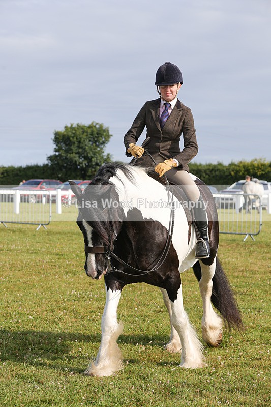 1X9A3165 - Class 27:  Ridden Native/Trad Coloured Horse