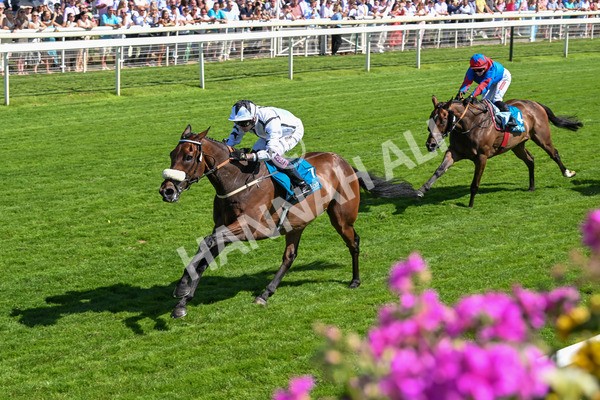 120725-Race 4-Al Qareem-5800 - Race 4 3.45pm John Smith's Silver Cup Stakes