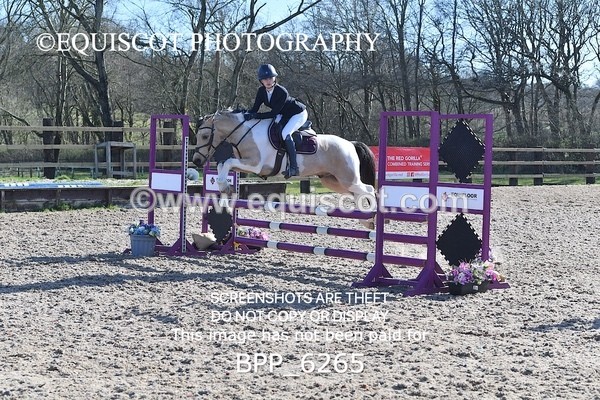 BPP_6265 - CLASS 8 SAT Pony BritiNovice / 0.80m Open