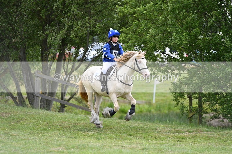 WJ5_2707 - Class 2 40cm