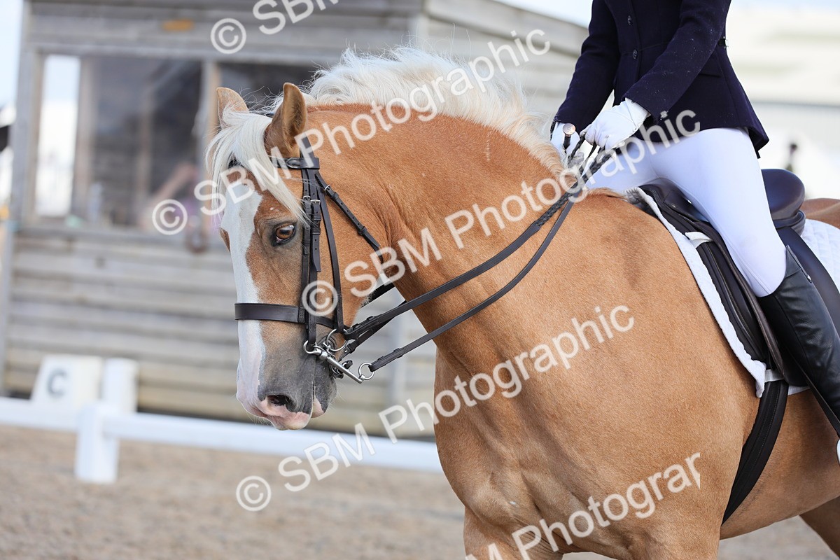 SBM_07688 - Class 33 Elementary 1