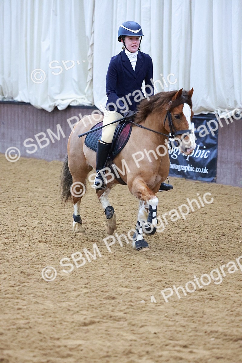 SBM_000408 - Class 19 - 50cm