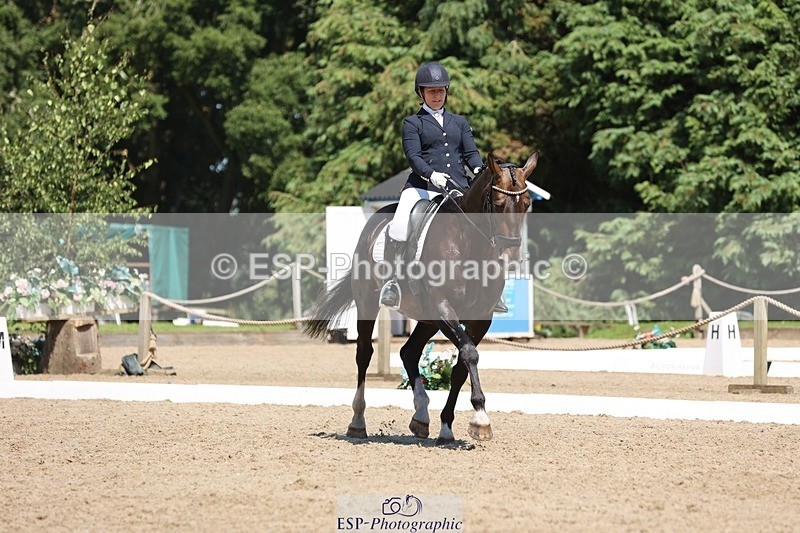 240719-142906-02312 - 266-Chloe_Cocks-Indulgence