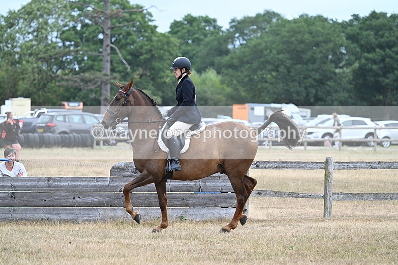 WJ7_0817 - Class 7 Riding Club Show Horse