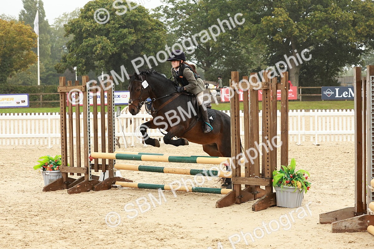 SBM_73283 - Supreme Championship Junior Pony 60cm & 65cm