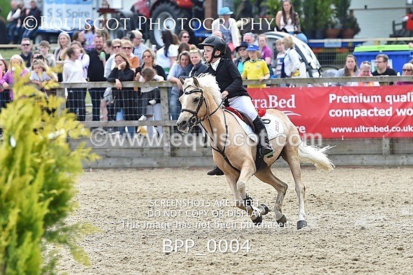 BPP_0004 - RHS 2019 Selection - *Just some random spectator shots so Lucky Dip if you are there!