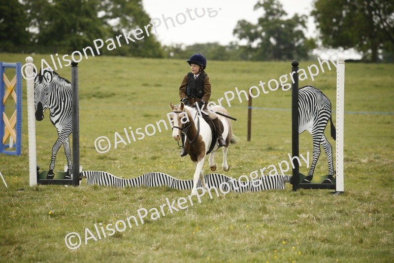 20250517-0813 - Class 2 - 30cm Off Lead Rein