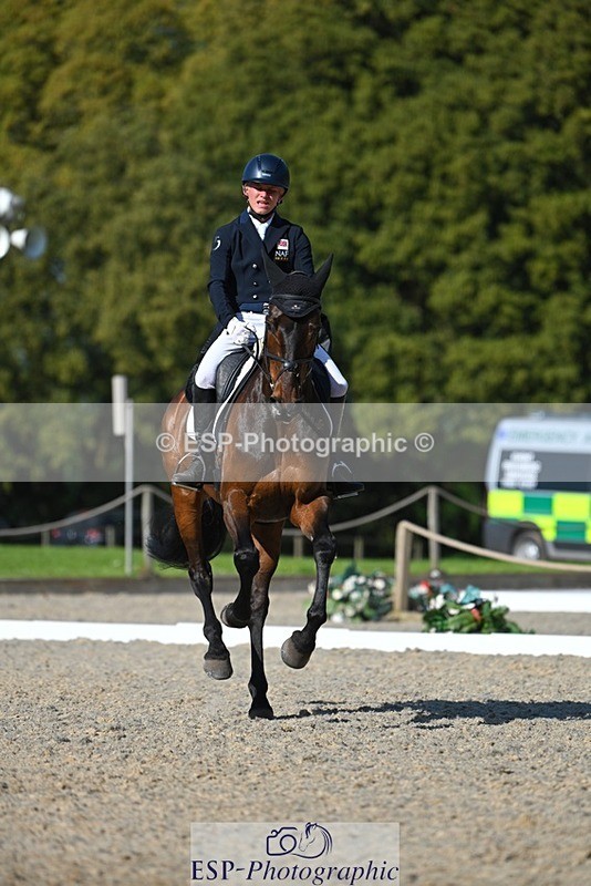 230526-172109-07580 - 262-TREAMBLE-Finn_Healy-WEDTrotUp+DR