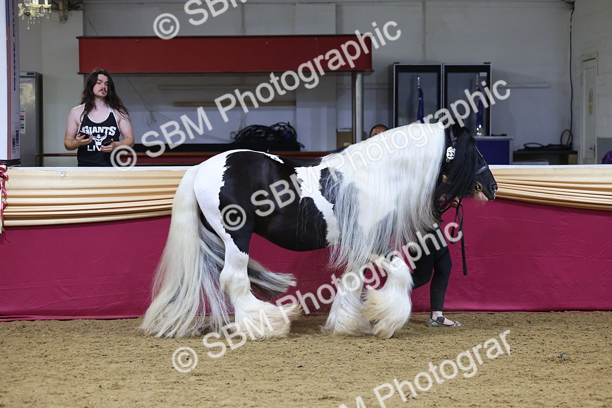 SBM_20953 - Class 902 - Supreme Final IH Veteran