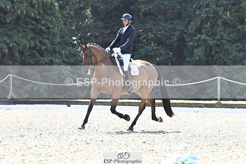 250810A-113227-05429 - 088-Joe.RoomeAcqua.Marina.Della.Caccia