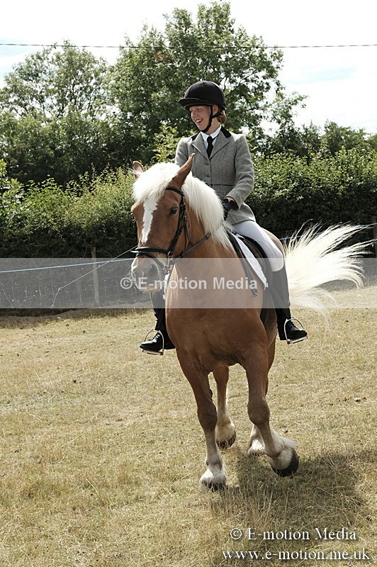 _PJP6075 - BVRC Show 2018 Ring 1