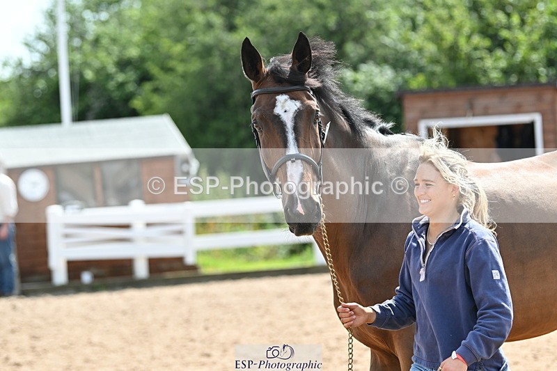 240717A-150957-02597 - Trot Up 3pm to 4pm