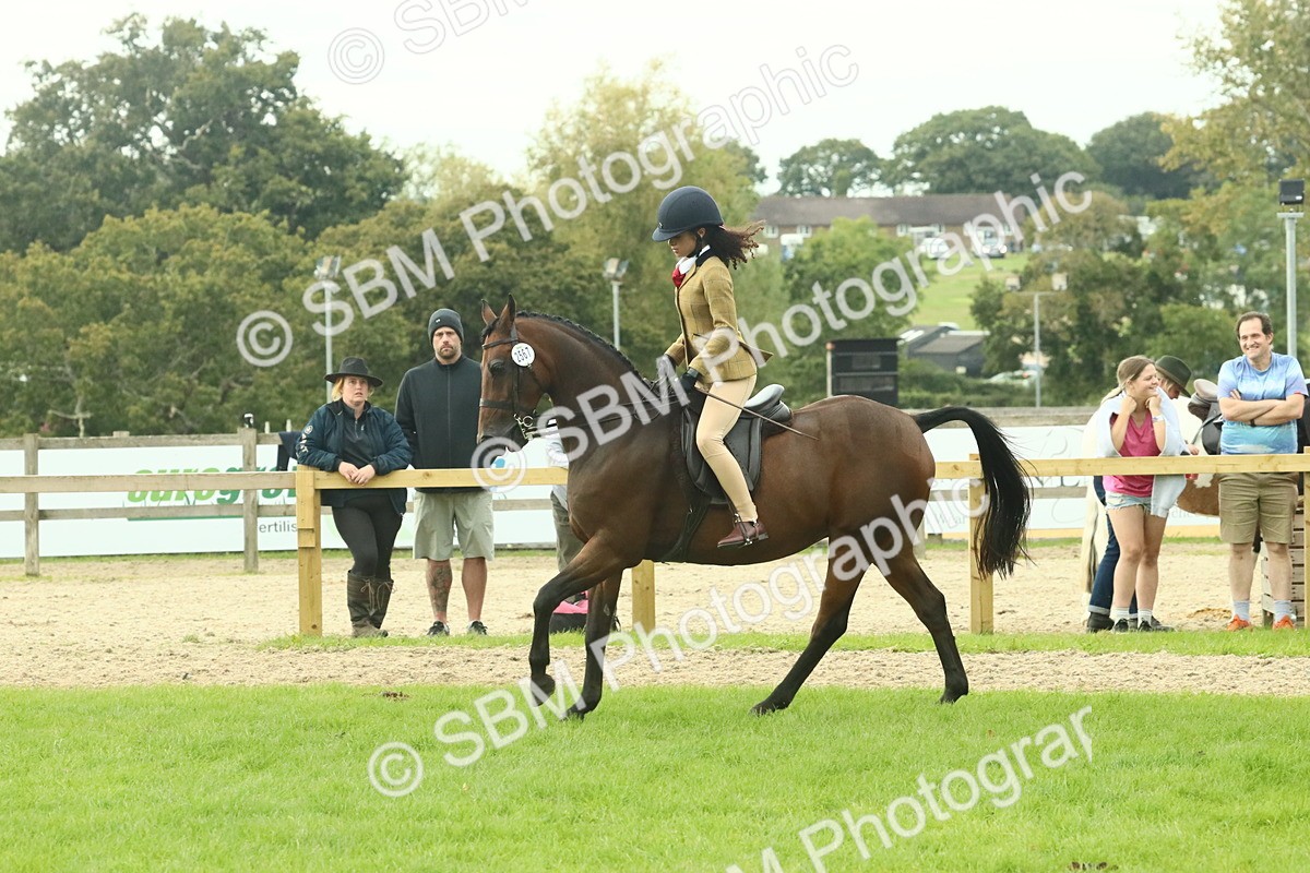 SBM_74085 - S 61 - Show Pony & Show Hunter Pony Ridden