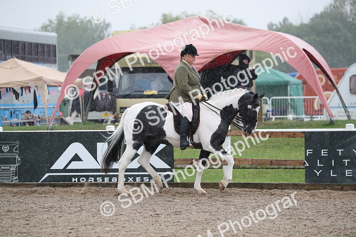 SBM_20420 - Class 601 - 2025 Area - Ridden Diamond