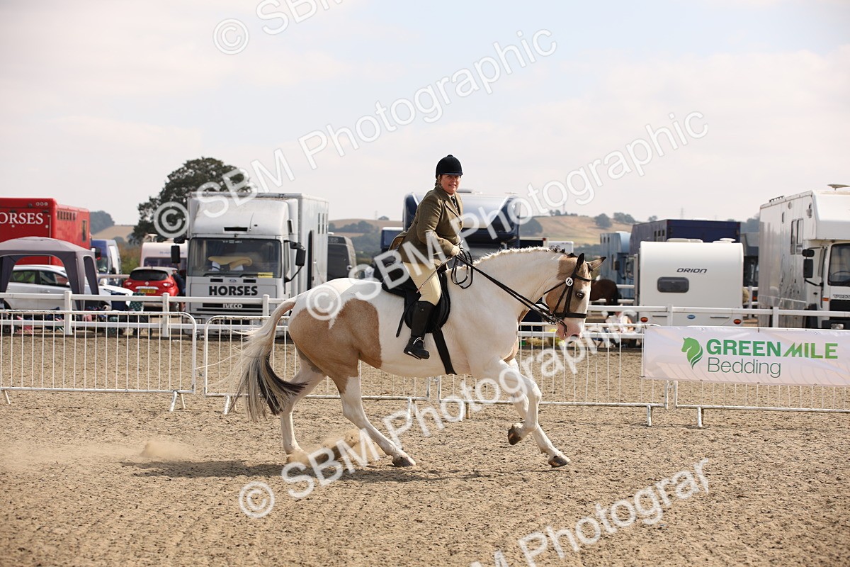 SBM_14199 - Class 407a - Working Veteran 60cm (15-19