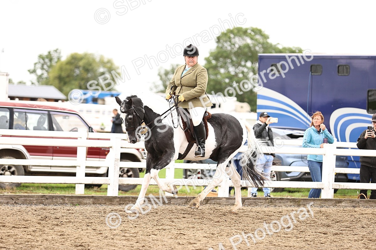 SBM_01372 - Class 54 - Riding Club Horse Pony