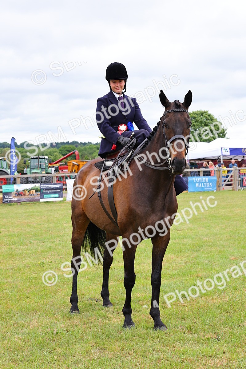 SBM_02839 - Class 9-11 Side Saddle including LIHS Rising Star Ladies Show Horse