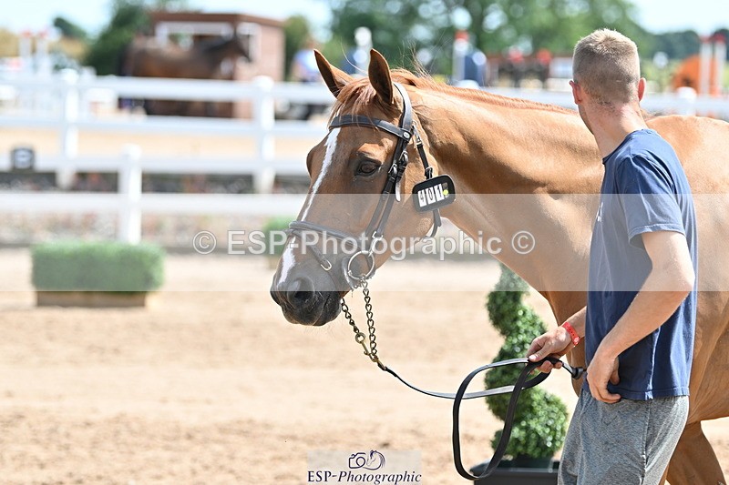 240717A-151342-02660 - Trot Up 3pm to 4pm