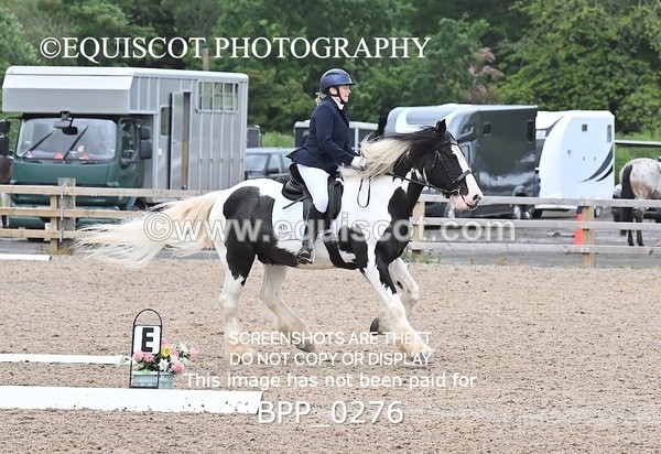 BPP_0276 - 31 E WYLLIE