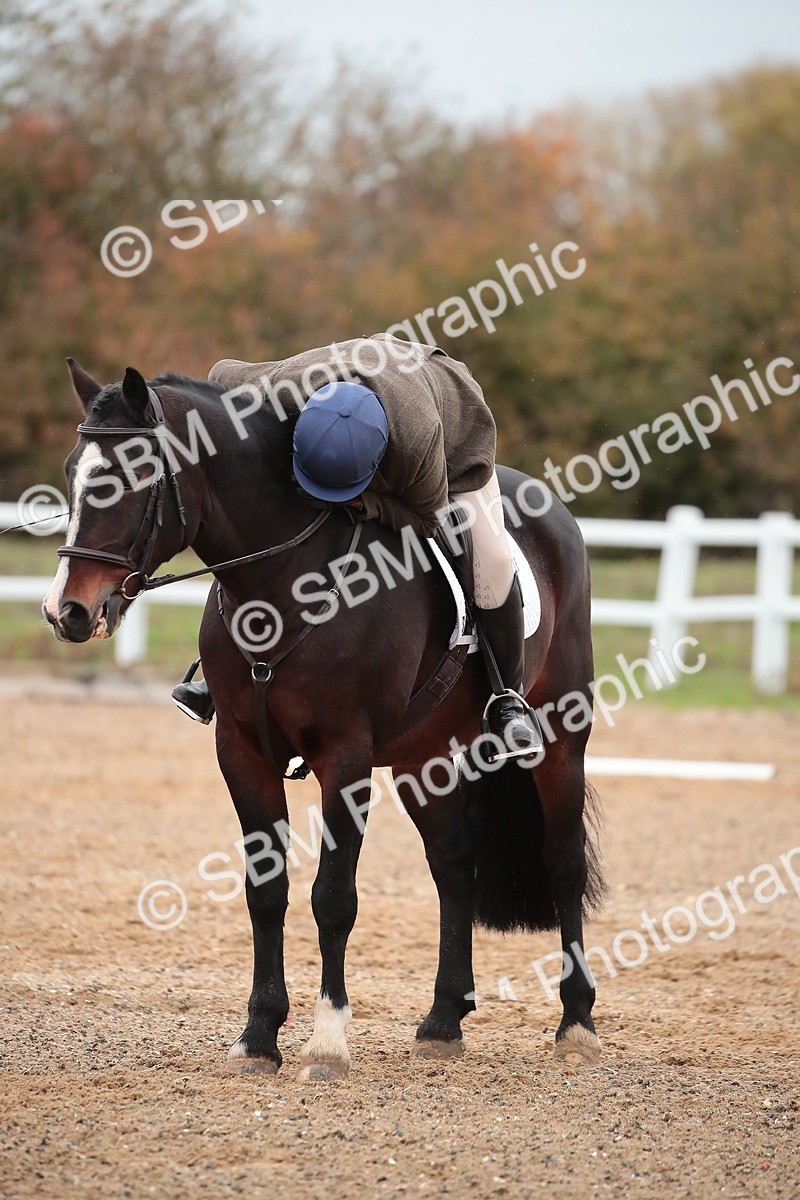 SBM_000456 - Intro 2