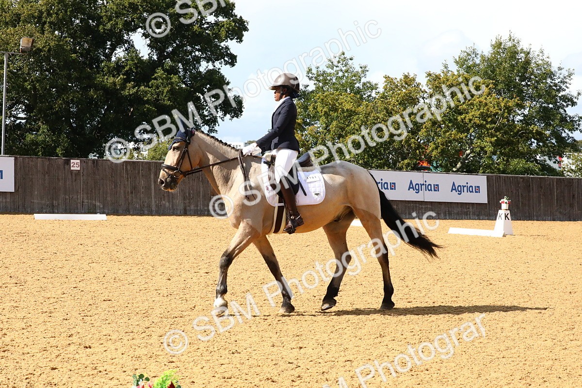 SBM_23562 - D5 - Small Tour Championshop Intro 2