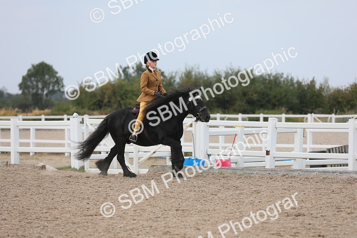 SBM_16870 - Class 314 Family Horse/Pony