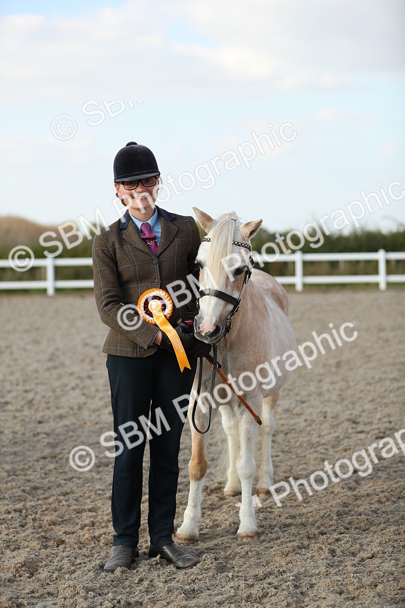 SBM_09098 - Class 29 IH Veteran Pony