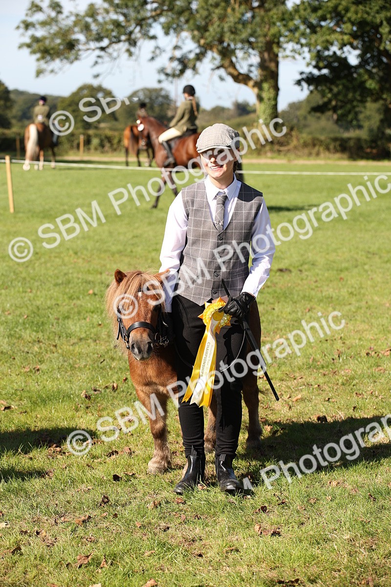 SBM_36690 - S10 - Best In Hand Horse & Pony