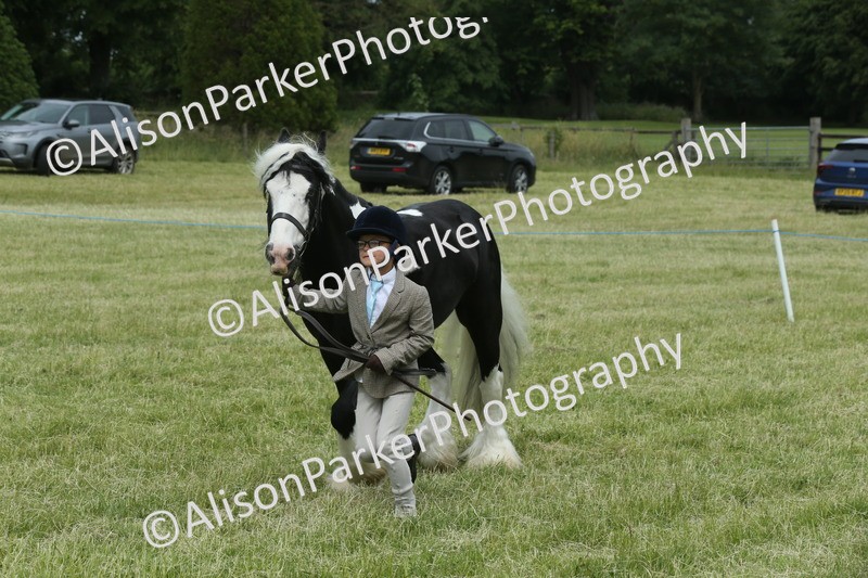 20260614-4274 - Class 18 - Best Junior Handler