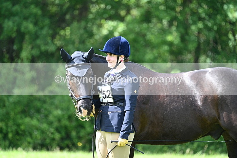 WJ7_1447 - Class 11 Condition & Turnout