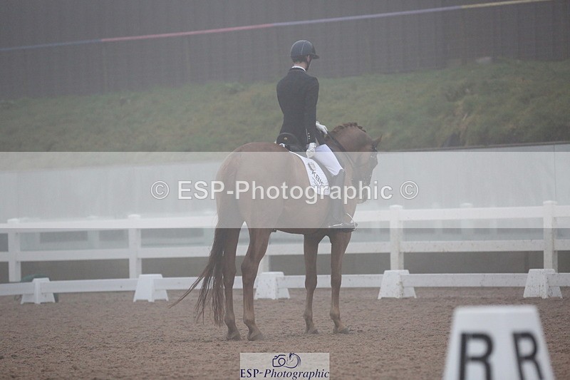 240217A-163520-04448 - 126-Lewis.Carrier-Rubico