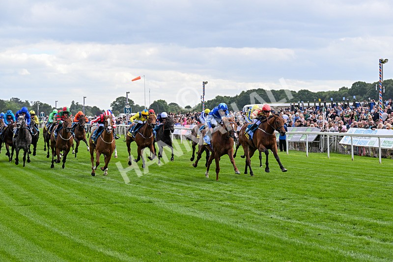 130626-Race 4-Thunder Call-0533 - Race 4 15.35pm Churchill Tyres Supporting Macmillan Sprint Handicap