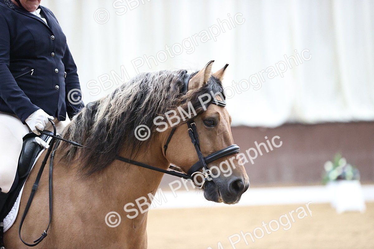 SBM_010358 - Class 3 - Prelim FSM